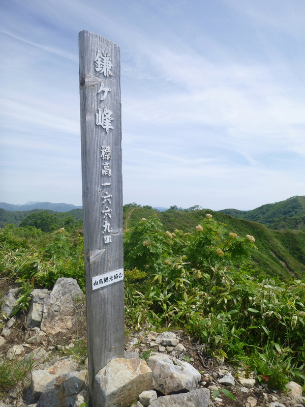 d0170615_1125090.jpg