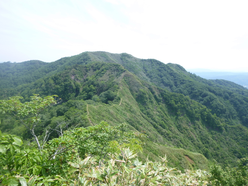 d0170615_1126195.jpg