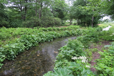 e0133025_22320070.jpg