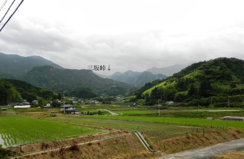 f0213825_1302747.jpg