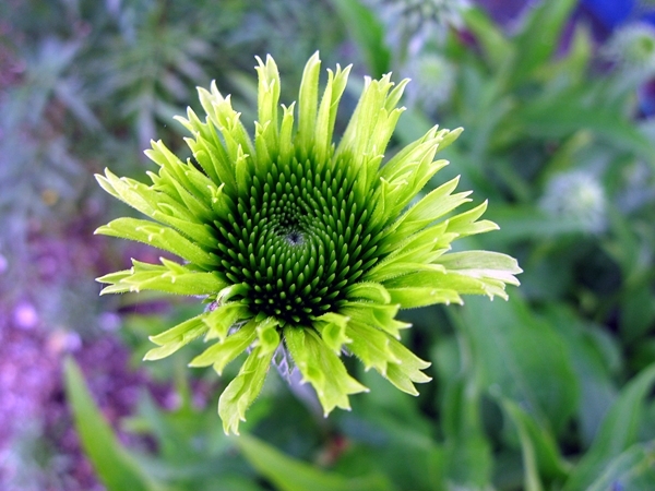f0129726_22041839.jpg