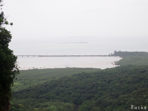 c0103830_18435420.jpg