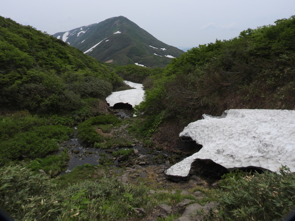 f0118332_109976.jpg
