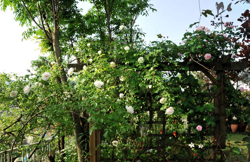 b0075541_1141449.jpg