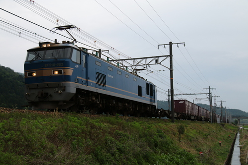 a0082347_16473571.jpg