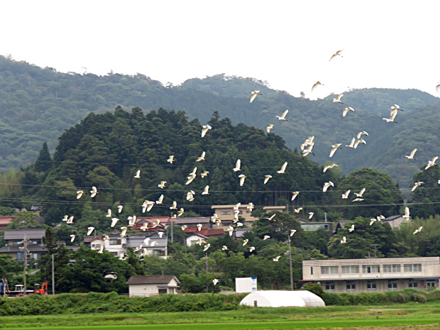 f0214649_4541953.jpg