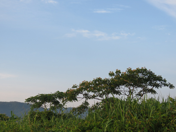 f0214649_513353.jpg