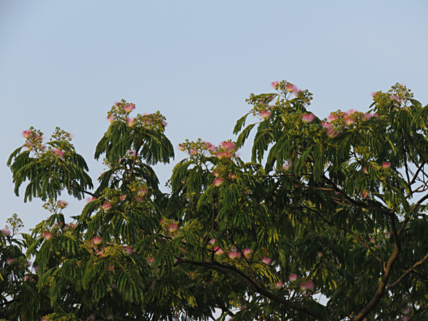 f0214649_514773.jpg