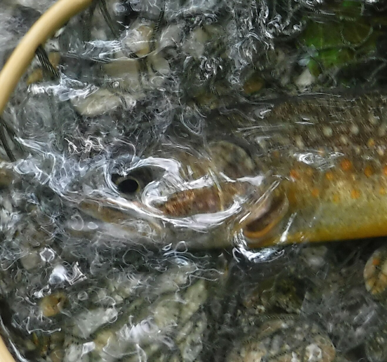 b0304662_21100060.jpg