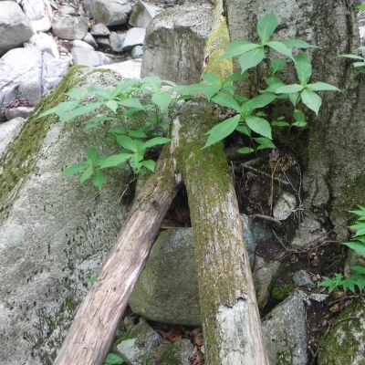 b0304662_21105418.jpg