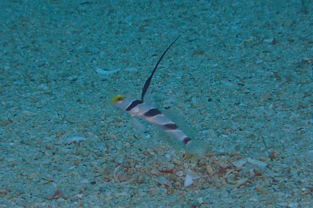b0062363_2072594.jpg