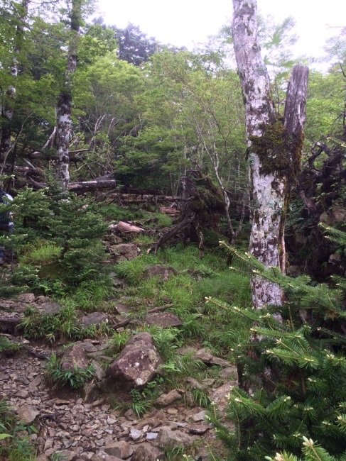 e0187064_21374779.jpg