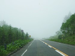 d0140668_17270932.jpg