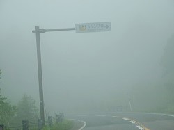d0140668_17272405.jpg