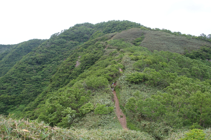 f0223068_1232191.jpg