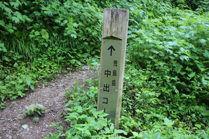 f0223068_7581499.jpg