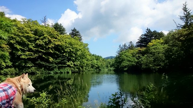 b0274270_12454124.jpg