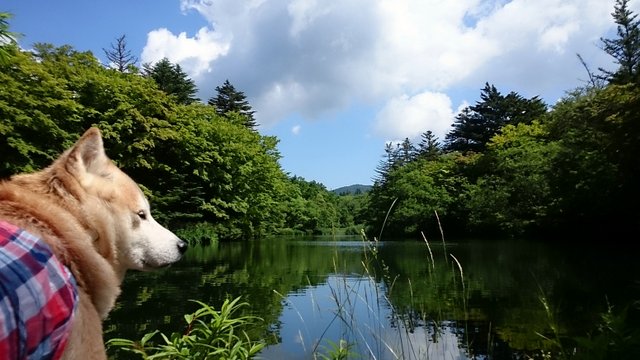b0274270_12455544.jpg