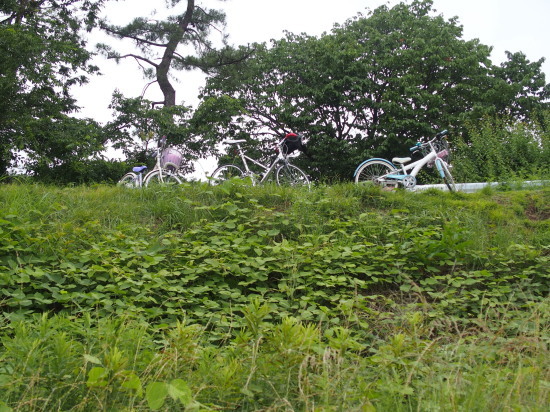 c0122670_22523039.jpg