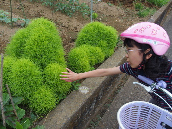 c0122670_23001545.jpg