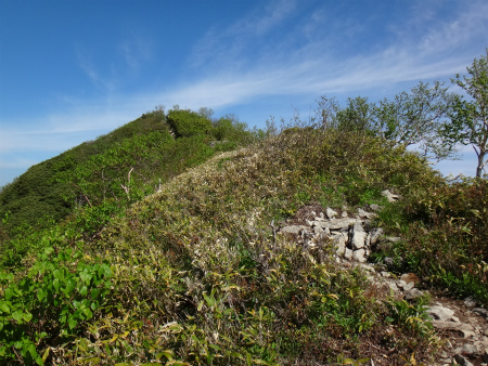 d0182075_2114046.jpg