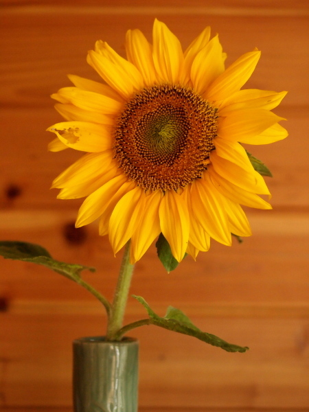 a0347276_15584917.jpg