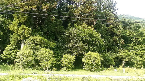 a0347276_15585181.jpg