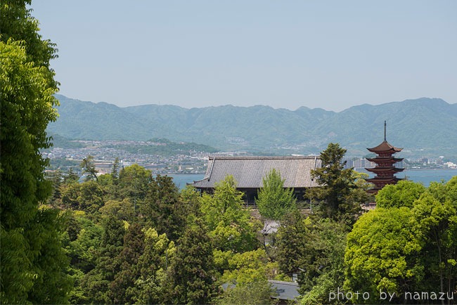 b0280176_20151760.jpg