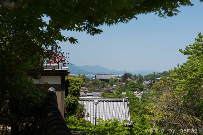 b0280176_20191155.jpg
