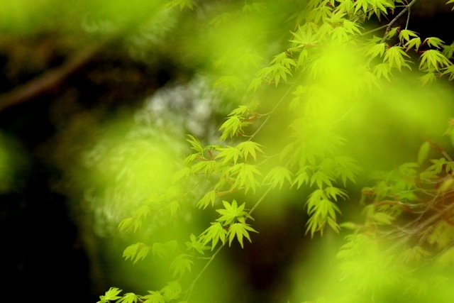c0257276_18495669.jpg