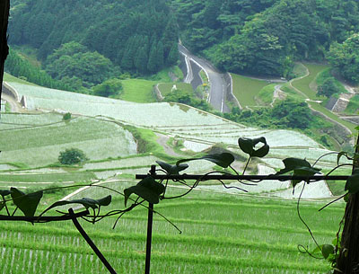 c0152779_14545353.jpg