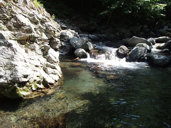 d0132880_092182.jpg