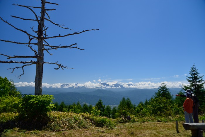 d0341880_72931.jpg