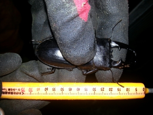 f0183484_15053686.jpg
