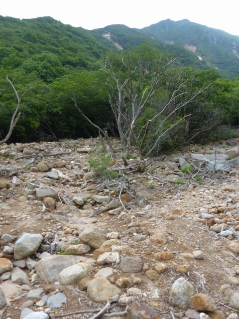 f0357487_1114435.jpg