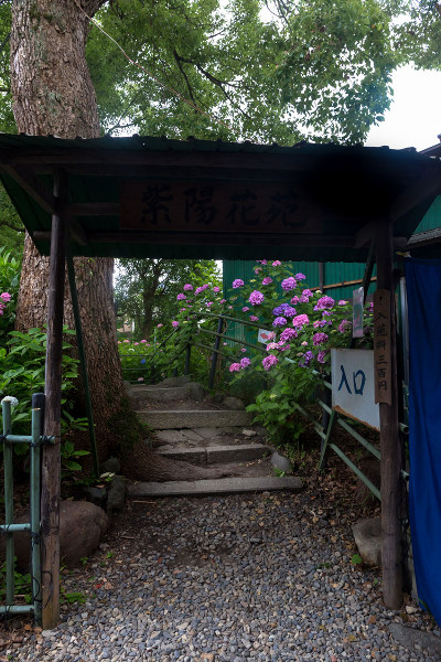 e0051888_5523863.jpg