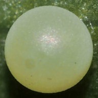 b0194593_67295.jpg