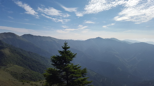 a0143296_6585351.jpg