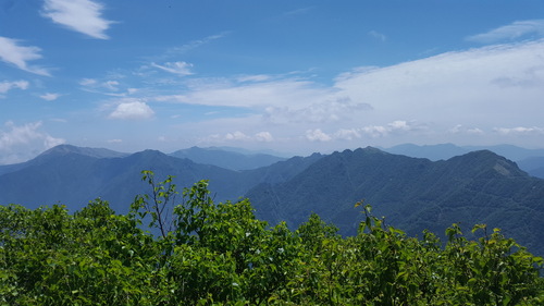 a0143296_7351767.jpg