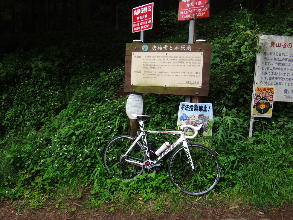 b0092300_01288.jpg