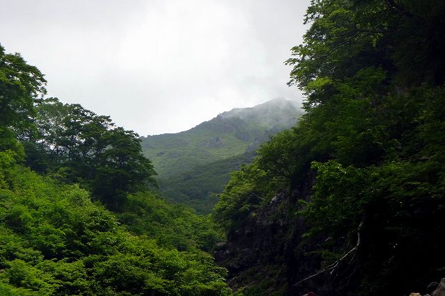 e0137200_211237.jpg
