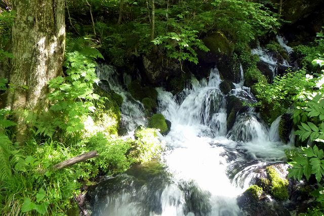e0137200_219346.jpg