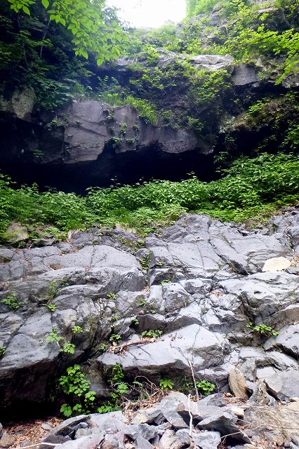 e0137200_2195515.jpg