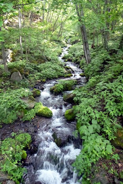 e0137200_219977.jpg