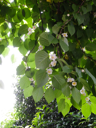 f0239100_0252132.jpg