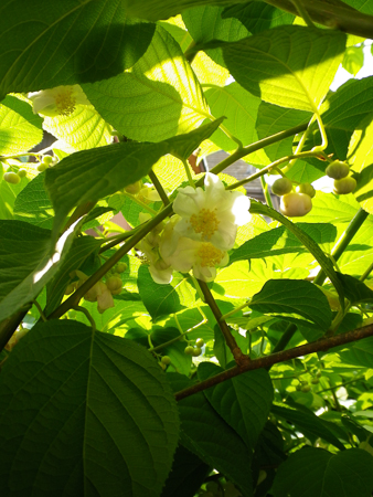 f0239100_2141356.jpg