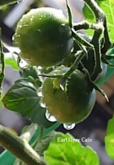 e0207503_16512038.png