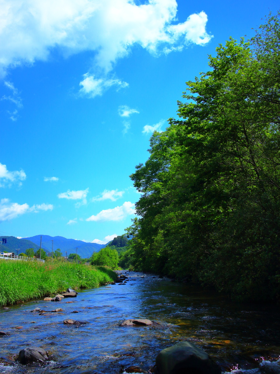e0009009_22253240.jpg