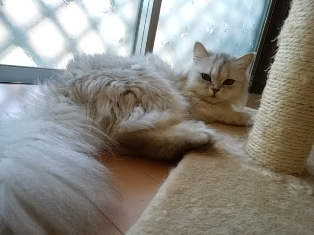 e0099212_2015211.jpg