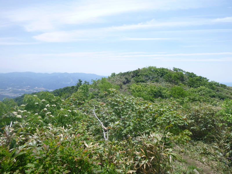 d0170615_1354461.jpg